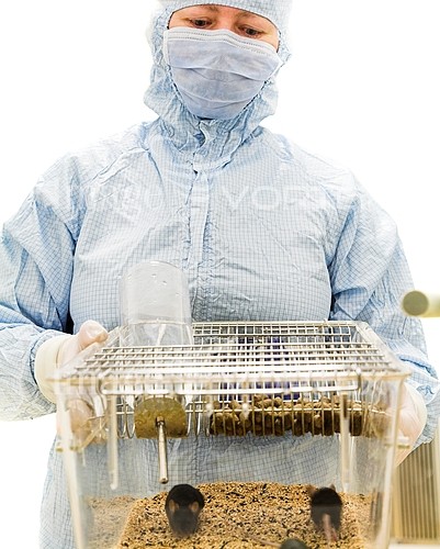 Science & technology royalty free stock image #740639491