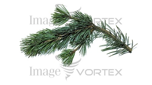 Christmas / new year royalty free stock image #751694813