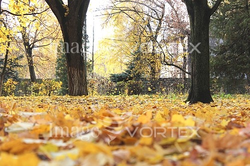 Park / outdoor royalty free stock image #756173892