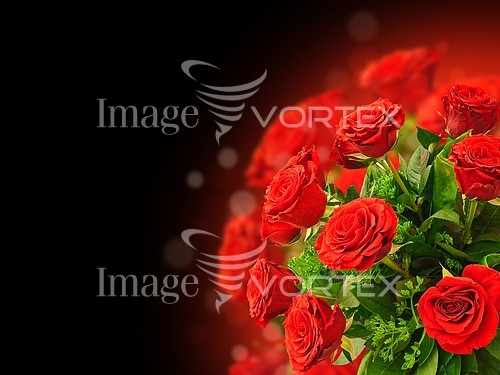 Flower royalty free stock image #760346881