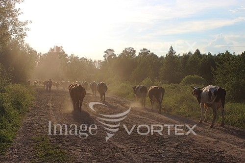 Industry / agriculture royalty free stock image #761061000