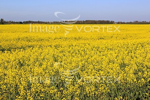 Industry / agriculture royalty free stock image #761602339
