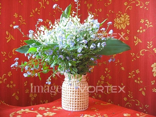 Flower royalty free stock image #761526859