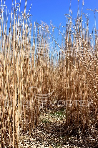 Industry / agriculture royalty free stock image #761571593