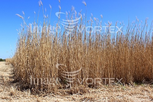 Industry / agriculture royalty free stock image #761621529