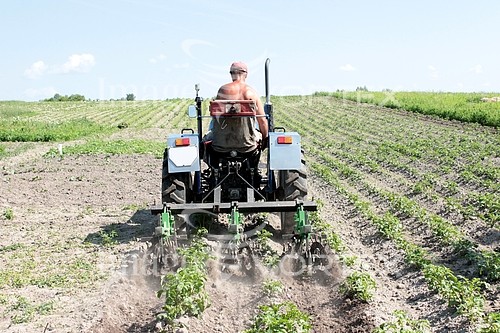 Industry / agriculture royalty free stock image #762578380