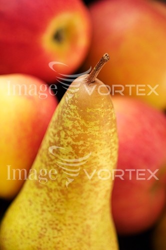 Food / drink royalty free stock image #764383421