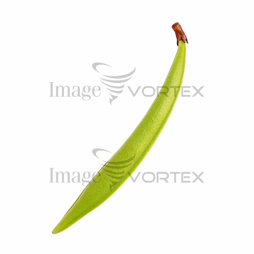 Food / drink royalty free stock image #765168695