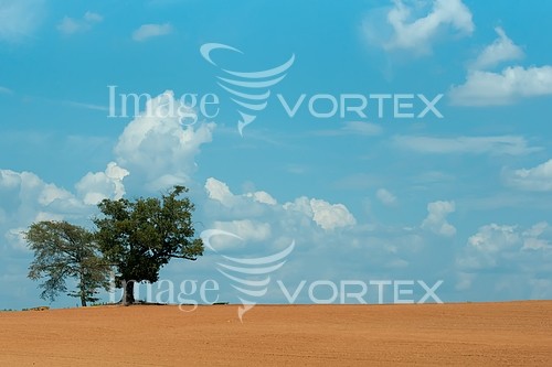 Industry / agriculture royalty free stock image #768002991
