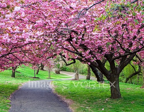 Park / outdoor royalty free stock image #769773195