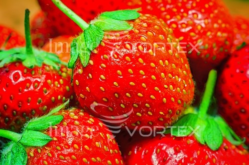 Food / drink royalty free stock image #770577364