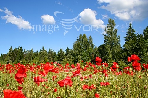 Nature / landscape royalty free stock image #771738565
