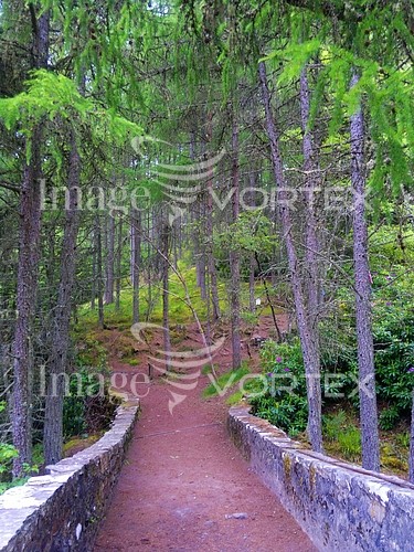Nature / landscape royalty free stock image #772769864