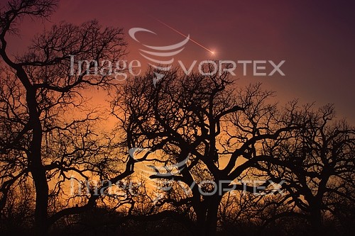 Nature / landscape royalty free stock image #773220938