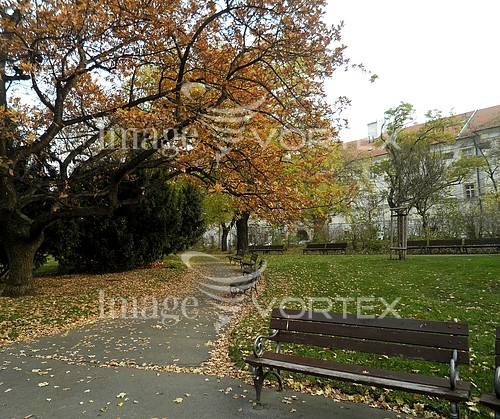 Park / outdoor royalty free stock image #774137325