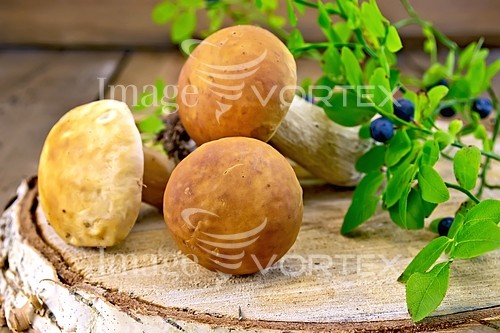 Food / drink royalty free stock image #781246605