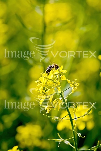 Industry / agriculture royalty free stock image #782071816