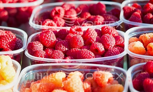 Food / drink royalty free stock image #782202034
