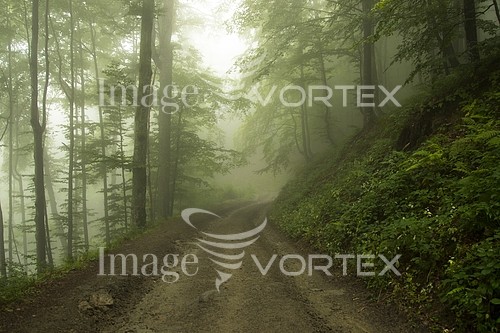 Nature / landscape royalty free stock image #789892535