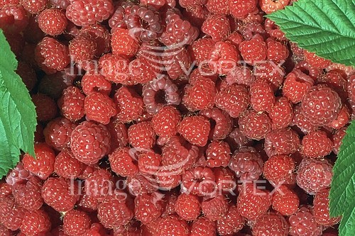 Food / drink royalty free stock image #789493896