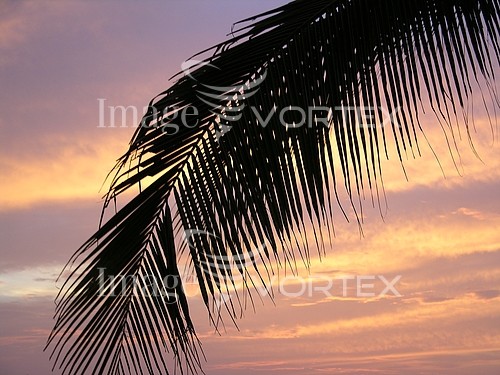 Sunset / sunrise royalty free stock image #791051111
