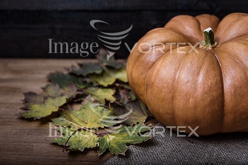 Industry / agriculture royalty free stock image #795496934