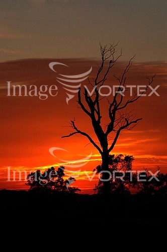 Sunset / sunrise royalty free stock image #797185504