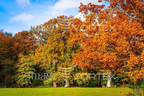 Park / outdoor royalty free stock image #803571699
