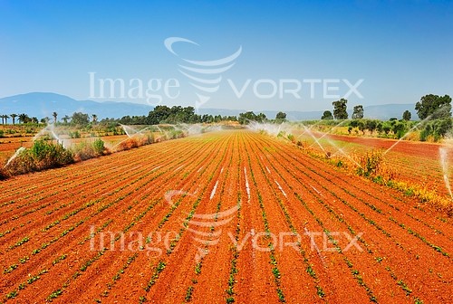Industry / agriculture royalty free stock image #804634688