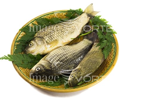 Food / drink royalty free stock image #808047869