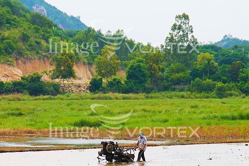 Industry / agriculture royalty free stock image #809188449