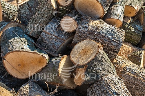 Background / texture royalty free stock image #809529482