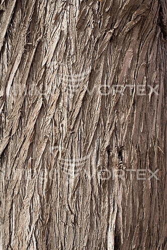 Background / texture royalty free stock image #815087179