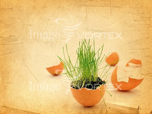 Background / texture royalty free stock image #816945246