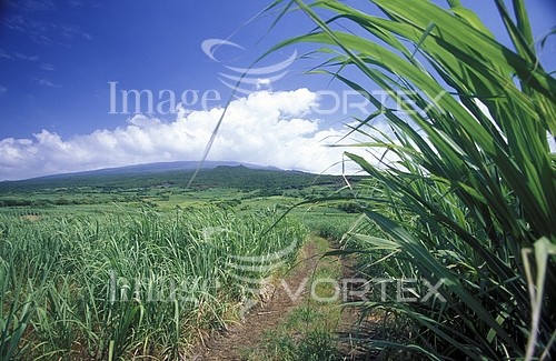 Industry / agriculture royalty free stock image #817886824