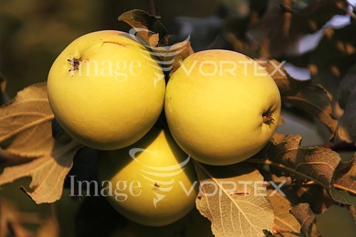 Industry / agriculture royalty free stock image #818408301