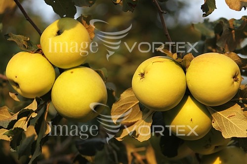Industry / agriculture royalty free stock image #818412971