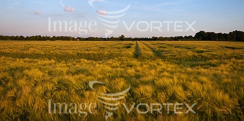 Industry / agriculture royalty free stock image #818735134