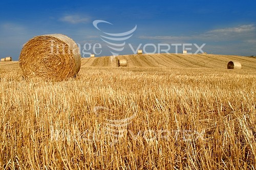Industry / agriculture royalty free stock image #818558244