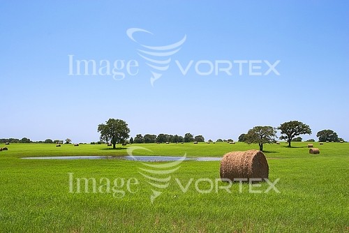 Industry / agriculture royalty free stock image #818222234