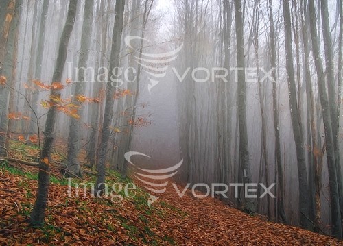 Park / outdoor royalty free stock image #819950583