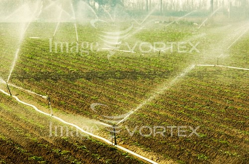 Industry / agriculture royalty free stock image #826500089