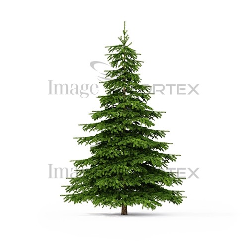 Christmas / new year royalty free stock image #830646955
