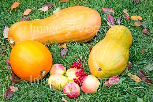 Industry / agriculture royalty free stock image #832060123