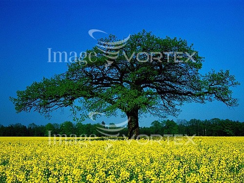 Nature / landscape royalty free stock image #835221987