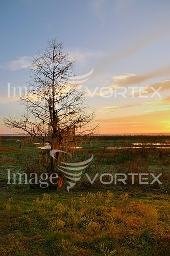 Sunset / sunrise royalty free stock image #835801620