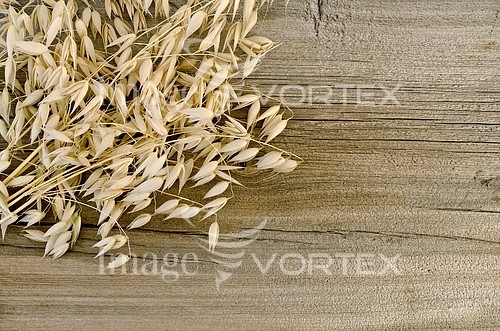 Industry / agriculture royalty free stock image #836163501