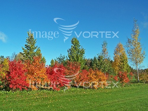 Nature / landscape royalty free stock image #846005827