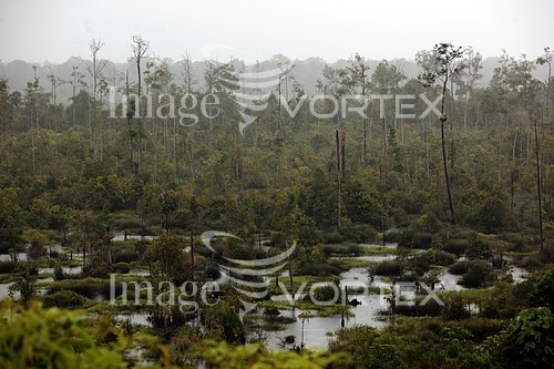 Nature / landscape royalty free stock image #847769043