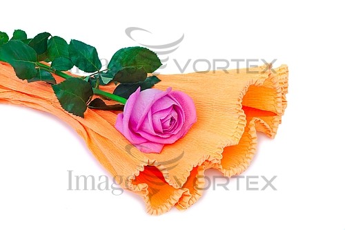 Flower royalty free stock image #848192288